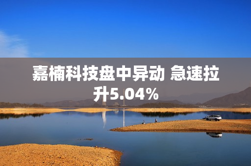 嘉楠科技盘中异动 急速拉升5.04%