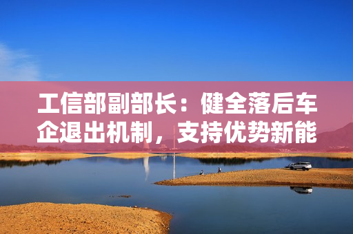 工信部副部长：健全落后车企退出机制，支持优势新能源车企兼并重组