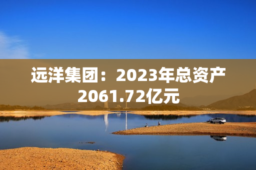 远洋集团：2023年总资产2061.72亿元