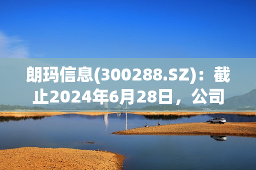 朗玛信息(300288.SZ)：截止2024年6月28日，公司股东人数为43198