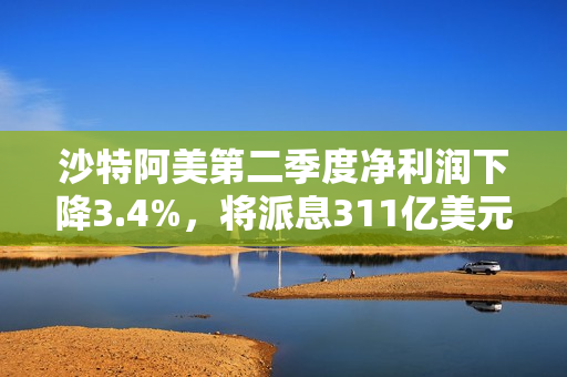 沙特阿美第二季度净利润下降3.4%，将派息311亿美元