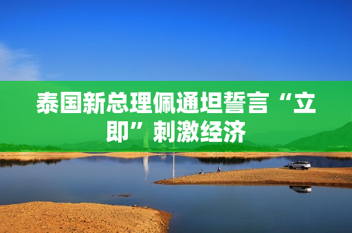 泰国新总理佩通坦誓言“立即”刺激经济