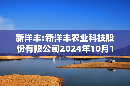 新洋丰:新洋丰农业科技股份有限公司2024年10月17日投资者关系活动记录表