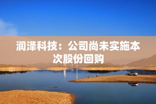润泽科技：公司尚未实施本次股份回购