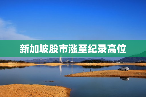新加坡股市涨至纪录高位
