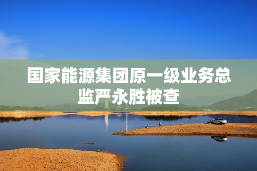 国家能源集团原一级业务总监严永胜被查