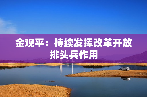 金观平：持续发挥改革开放排头兵作用