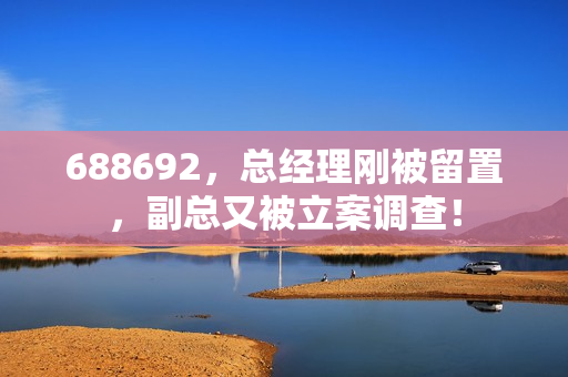 688692，总经理刚被留置，副总又被立案调查！