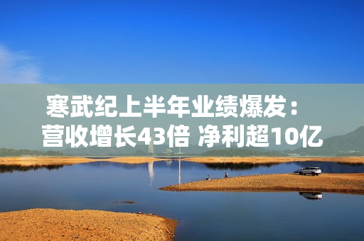 寒武纪上半年业绩爆发： 营收增长43倍 净利超10亿元