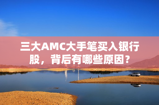 三大AMC大手笔买入银行股，背后有哪些原因？