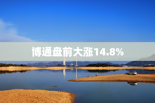 博通盘前大涨14.8%