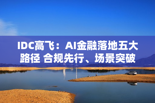 IDC高飞：AI金融落地五大路径 合规先行、场景突破、平台化建设、人机协同与生态共建