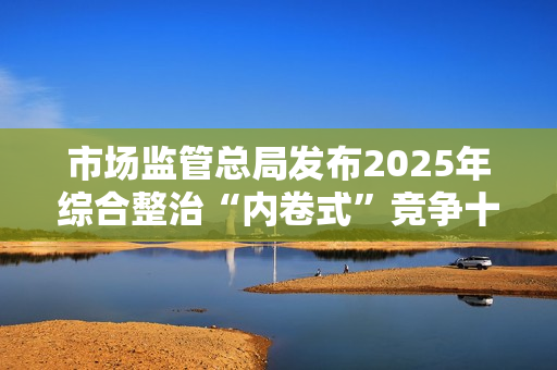 市场监管总局发布2025年综合整治“内卷式”竞争十大重大案件