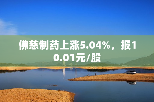 佛慈制药上涨5.04%，报10.01元/股