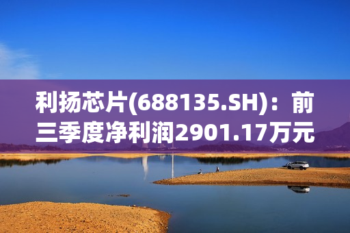利扬芯片(688135.SH)：前三季度净利润2901.17万元，同比增长13.06%