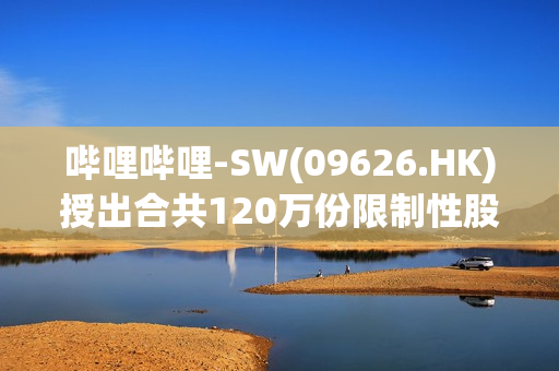 哔哩哔哩-SW(09626.HK)授出合共120万份限制性股份单位