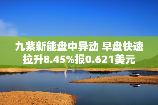 九紫新能盘中异动 早盘快速拉升8.45%报0.621美元