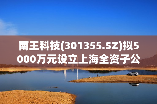 南王科技(301355.SZ)拟5000万元设立上海全资子公司 完善战略布局