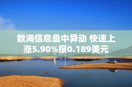 数海信息盘中异动 快速上涨5.90%报0.189美元